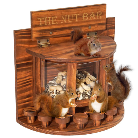 Crescent Wooden Squirrel Feeder Table with squirrels, transparent sides, sturdy stool bars, wall-mounted, outdoor use