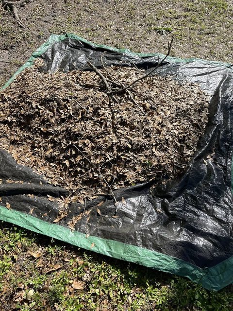 Drawstring 9x9 Tarp For Leaves And Outdoor Use With Cinch Bag Easy Cleanup Heavy Duty Cover Tarp on ground with leaves piled
