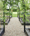 Sturdy Metal Garden Arch For Outdoor Entry And Wedding Backdrop Seven Point Two Foot Arbor adorned with climbing plants amidst garden beds.