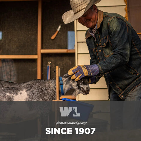 Man in denim jacket wearing Men's White Mule Heavy Duty Cowhide Leather Palm Work Gloves X Large For Tough Jobs with dog
