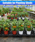 Heavy Duty Plastic Pallet Set 23.6x15.8x3.9 Inch Stackable Interlocking Storage Platform in greenhouse with potted plants