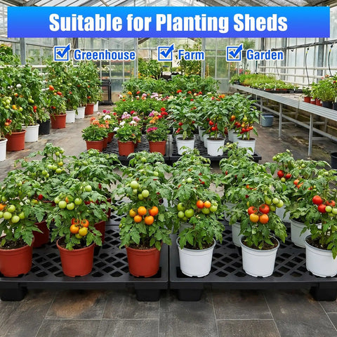 Heavy Duty Plastic Pallet Set 23.6x15.8x3.9 Inch Stackable Interlocking Storage Platform in greenhouse with potted plants