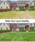 Before and after using Lawn Aerator Shoes With Metal Spikes showing improved lawn health and growth, front yard view.