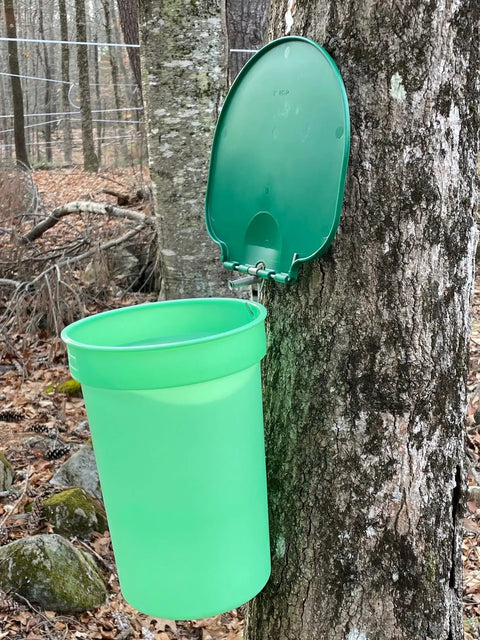 Top Shelf Maple Syrup Bucket Kit includes a green food-grade sugar container hanging on a tree for sap collection.