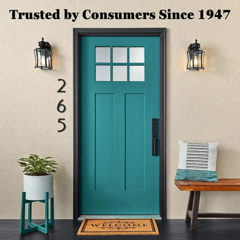 Front view of a teal door with glass panels, welcome mat, and potted plant, showcasing a stylish entryway.