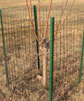 Black PVC Coated Welded Wire Fence 24 Inch By 50 Foot Garden Border Mesh 2x3 In 16GA Vinyl Coated Galvanized Steel Wire For Yard Vegetables Plants Poultry Netting Rustproof installed around a tree