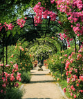 Tall Black Garden Arch Trellis 8.2 Ft High 6.2 Ft Wide Outdoor Arbor For Climbing Plants Roses And Vines Built To Last