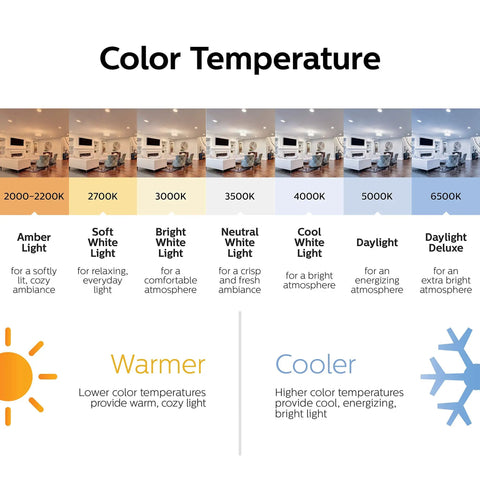 Color temperature chart showing A19 LED Non Dimmable Frosted Light Bulbs 800 Lumens 5000 Kelvin Daylight 8 Watt 60 Watt Equivalent E26 Base