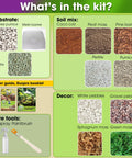 Contents of All In One Terrarium Kit With Premium Soil Mix Pumice Zeolite Moss Sphagnum Moss Decorative Stones Mesh And Tools