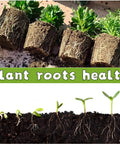 Seedling growth stages showing root health with earthy background, related to 240 Cell Seed Starter Tray Kit with Biodegradable Peat Pots and Germination Trays Organic Seed Starting System Includes 24 Labels and 2 Transplant Tools for Easy Root Friendly Plant Start.