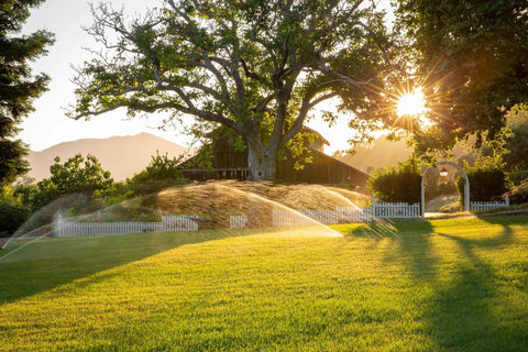 Lawn with sprinklers activated, showcasing Roam Kit Wireless Sprinkler Remote Controller That Plays Nice With X-Core Pro-C PCC I-Core ACC.