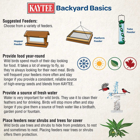 Image showcasing Kaytee Backyard Basics featuring various bird feeders and tips for yard care to attract wildlife.
