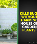 House And Garden Insect Killer Spray That Kills Ants Roaches And Spiders Indoor And Outdoor Use Won't Harm Plants 11 Ounce Bottle