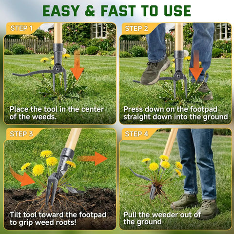 Step-by-step guide using Stand Up Weed Puller Tool With Long Handle And 4 Claw Steel Head For Easy Garden Weeding Without Bending Or Kneeling