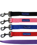 Heavy Duty 6ft Nylon Dog Leash With Padded Comfort Handle And Stainless Steel Fastener Half Inch Wide Purple Leash Built To Last Tough Rugged Weather Resistant Training Lead For Walking And Control shown in a row with other colors