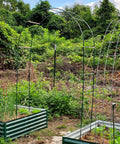 Sturdy Metal Garden Arch Trellis For Climbing Plants Dual Shape Design 55.1 By 94.5 Inches Or 91.2 By 76.8 Inches Easy Assembly Outdoor Arbor