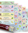 Five Poster Set Of Spanish Speaking Countries With Map For Classroom Learning 12 X 18 Inches Made In USA Great For K 12 Teachers And Students Covers Latin America Spain Puerto Rico And More, showing maps and details of countries like Mexico, Guatemala, and others.