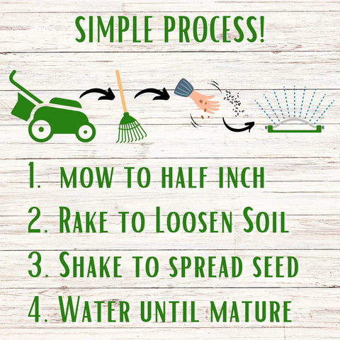 Step-by-step planting guide for White Dutch Clover Seed Kit 1 Lb Organic Coated Ground Cover For Natural Lawn And Food Plot