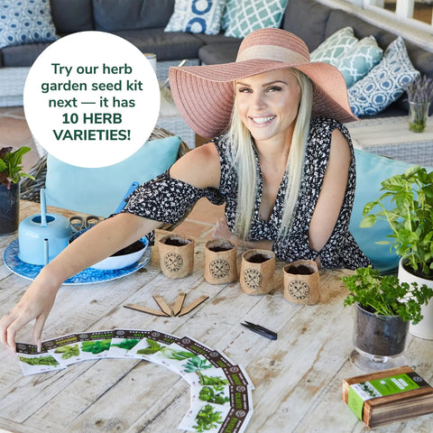 Woman assembling DIY Indoor Herb Garden Starter Kit With Heirloom Non GMO Seeds For Basil Thyme Parsley Cilantro Plus Potting Soil