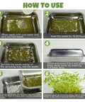 Instructional guide for using 2 Pack Stainless Steel Seed Sprouter Trays, showing steps for soaking, spreading, watering, and sprouting seeds.