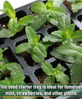Seed Starter Tray Kit Set 10 Pack With 400 Cells Durable Germination Trays Humidity Vented Domes And Bases with growing plants