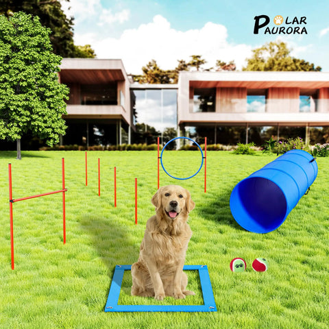 All In One Backyard Dog Agility Course For Active Pups with high jump, weave poles, tunnel, jumping ring, pause box