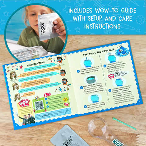 Child reading setup guide for Hatch And Raise Real Brine Shrimp Aquarium Kit For Kids 6 Plus Easy Care Sea Creatures With Customizable Tank.