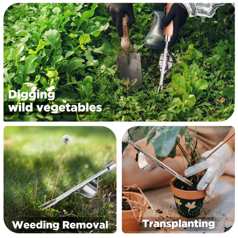 Weed Puller Tool With Metal Leverage Base And V Shaped Forks For Deep Root Digging in garden, weeding, and transplanting