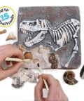 Hands using tools on Fossil Dig Kit For Kids, Excavate 15 Real Fossils, Dinosaur Bones And Shark Teeth displayed.