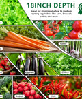 Variety of vegetables including lettuce, tomatoes, carrots, garlic, strawberries, eggplant, celery, cauliflower, radish, and chili.
