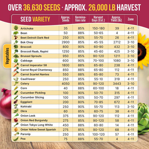 Chart displaying seed varieties and details from 55 Vegetable Seeds Variety Pack Non GMO Heirloom Seeds For Your Home Garden Indoors And Outdoors Hydroponic Ready 35,600 Plus Seeds In Individual Packets Great Starter Kit For Veggie Growers