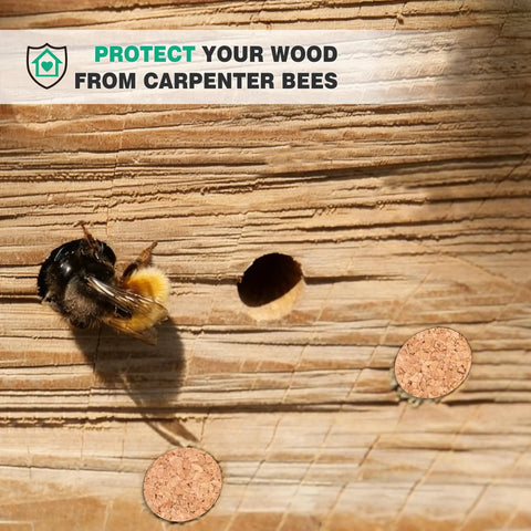 Carpenter Bee Corks 200 Pack For Holes 9-13 Mm Easy To Insert Durable Outdoor Wood Repair For Furniture Decks Fences