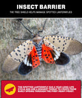 Spotted lanternfly on tree with text highlighting Tree Shield Insect Barrier For Lantern Fly And Ant Traps protection.