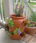 Strawberry Jar Planter With Twelve Side Openings For Herbs Flowers And Succulents Durable Lightweight Terra Cotta Colored Plastic Garden Container For Patio Balcony Backyard Deck Outdoor Or Indoor Use shown on porch with flowers.