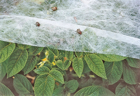 Summerweight Fabric Plant Cover for Outdoor Raised Beds, Frost and Heat Protection, Reusable Pest Barrier, Breathable Thick Garden Blanket, 12 Ft By 20 Ft, Perfect for Greenhouses and Outdoor Gardens