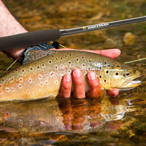 Close-up of fisherman holding a trout in water with On The Go Fly Fishing Rod And Reel Combo With Carry Case Flies And Line visible.