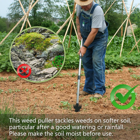 Man using Long Handle Weed Puller Tool 58 Inch, 2 In 1 Weeder Rake And Garden Hoe Combo on soft garden soil.
