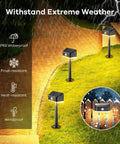 Solar Pathway Lights With Motion Sensor Waterproof Outdoor LED 2 In 1 Lights illuminating a garden path in rainy weather