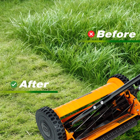 14 Inch Manual Push Reel Lawn Mower With 5 Blade Precision Cutting And Scissor Like Action For Clean Grass Snips, 4 Height Settings For Perfect Lawn Maintenance, Low Effort Yard Work, Quiet And Eco Friendly on overgrown grass before and after cut