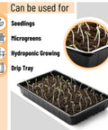 Durable 5 Pack Seed Starter Trays For Indoor Or Outdoor Gardening 17 By 10 By 2.4 Inches Budget Friendly Stackable Reusable Plastic Seedling Starter Kits For Home Growers Greenhouse And Hydroponic Systems showing seedlings in a black tray with soil, ideal for microgreens and hydroponic growing.