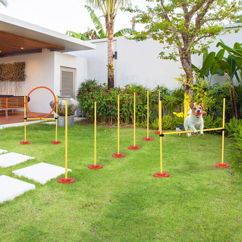 Dog Agility Training Kit Outdoor Obstacle Course Starter Set With Hoop, Hurdle, Weave Poles And Carrying Bag in garden