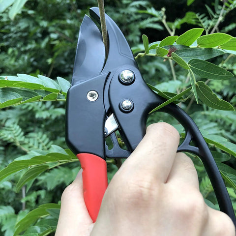 Badass Heavy Duty Anvil Pruning Shears 8 Inch Blade Ratchet Action Pruner cutting through a branch in a garden.