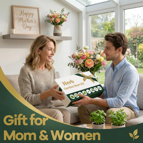 Woman receiving Indoor Herb Garden Starter Kit All In One Garden Set With 8 Biodegradable Pots Soil Discs And 8 Non GMO Seeds Basil Mint Oregano Dill Chives Parsley Sage Perfect Gift For Home Cooks And Green Thumbs Great For Beginners And Pros from man on sofa; backdrop of plants and gift box decor