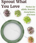 Sprouting Lids For Wide Mouth Mason Jars Set Of 2 Mesh Screen Strainer Lids For Organic Alfalfa And Mung Bean Sprouts Stainless Steel 316 Sage Green Accessory with sprouts