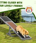 Dog using Wooden Dog Agility Seesaw For Training And Exercise, Outdoor Ready Platform Run Toy With High Traction, 71 in L, gray