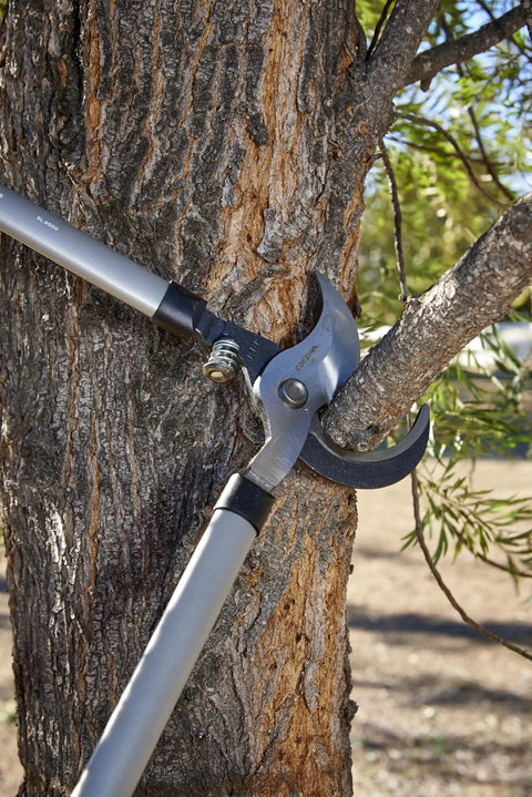 Super Duty 32 Inch Bypass Lopper with MAXFORGED Steel cutting thick branch on tree, showcasing long lasting sharp edge.