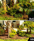 Before and after using Flexible 33 Foot Garden Edging Border With 50 Spikes 4 Inch Lawn Border For Landscape Garden Flower Beds