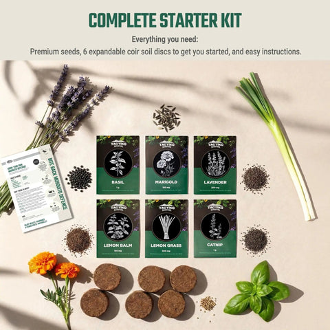 Garden Aromatic Herb Seed Kit For Mosquito Season With Six Seed Packets For Patio And Deck Includes Lavender Lemongrass Marigold Catnip Lemon Balm Basil And Six Coir Soil Discs displayed with seeds and herbs.