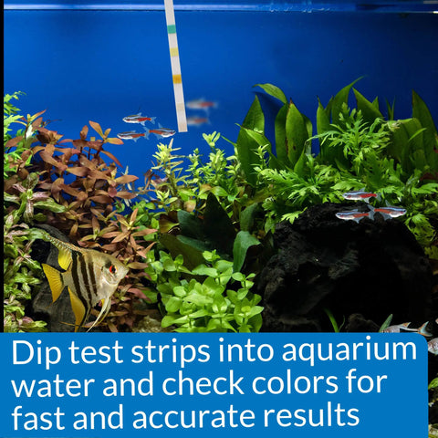 Quick Dip Five In One Aquarium Water Test Strips For Freshwater And Saltwater Tanks checking pH and nitrates in a vibrant fish tank.