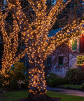 100 Count Mini Clear Christmas Lights On 21 Feet White Wire For Indoor Outdoor Decor on tree with house in background